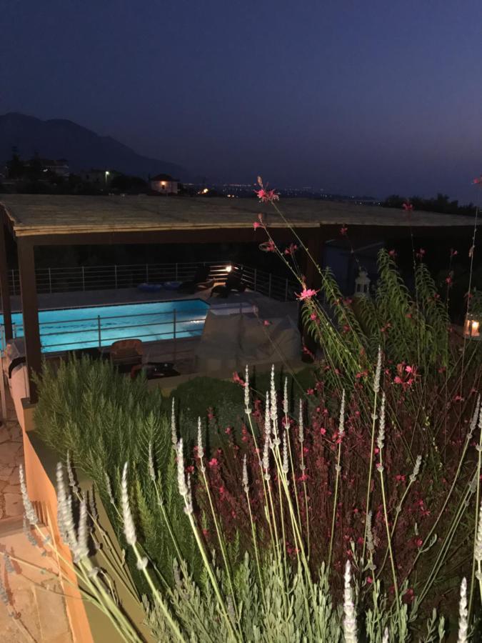 Villa Verde Ano Kalon Neron Exterior photo